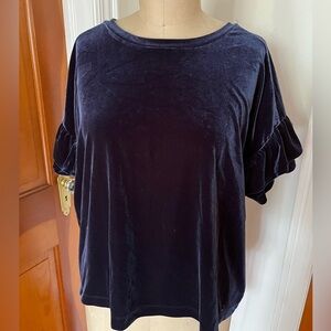 Madewell Velvet Top in 2X